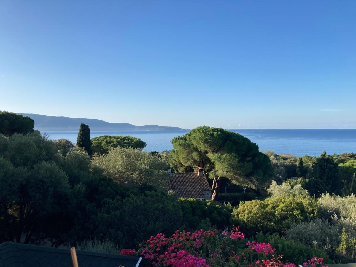 Chez Jean Claude La Villa Des Amis Olmeto  Buitenkant foto